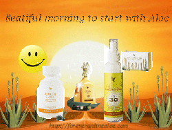 forever living sunscreen spray