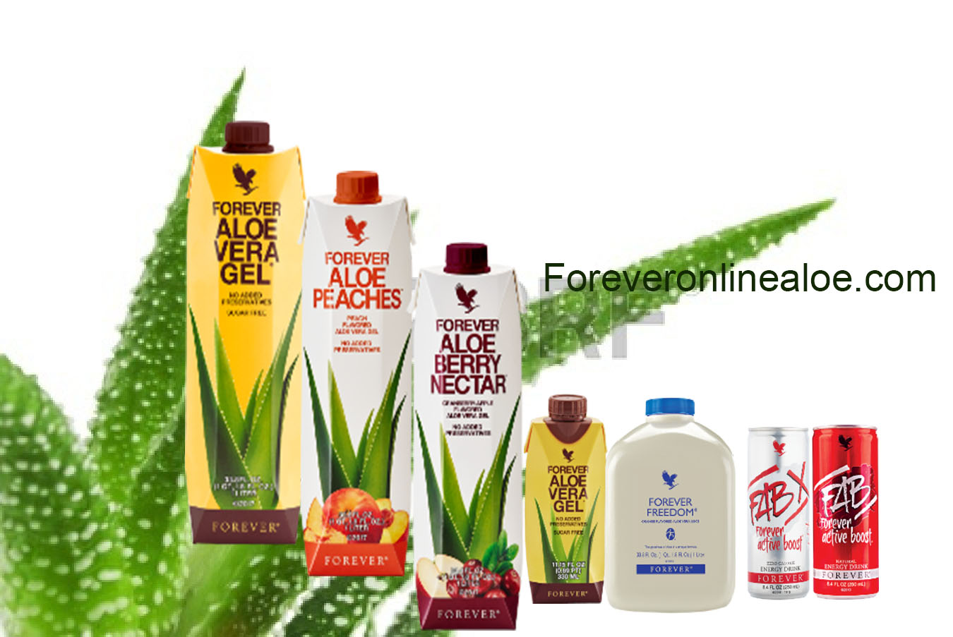 Forever Aloe Vera GEL PARA BEBER: ¡natural! 🦛 - Anuto Marketplace