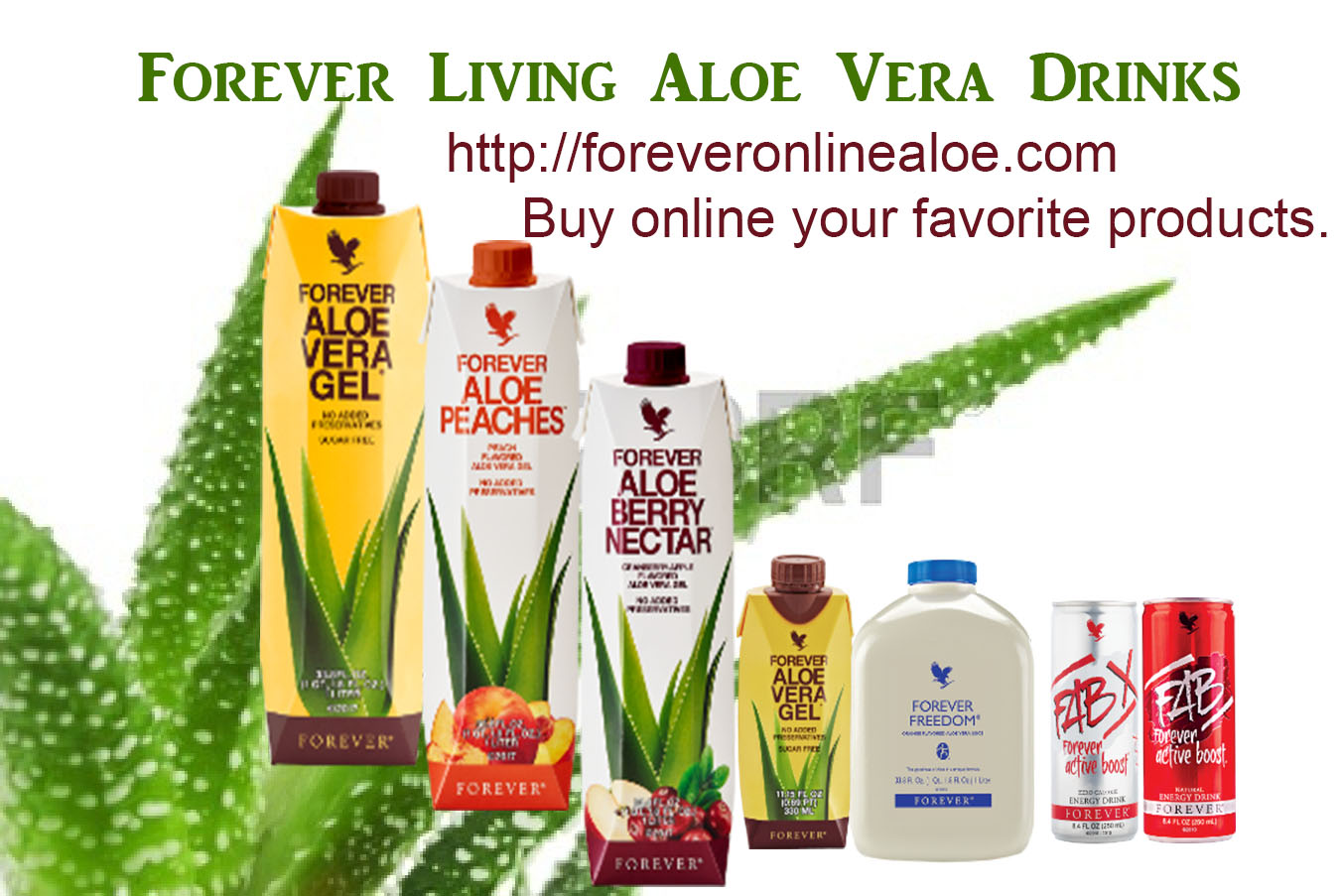 overrasket Tante kristen 10 Reasons & Benefits to drink Aloe Vera Gel / Forever Living