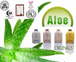 Gepensioneerde lepel eer Forever Living Products Distributor: Aloe Vera Products Online